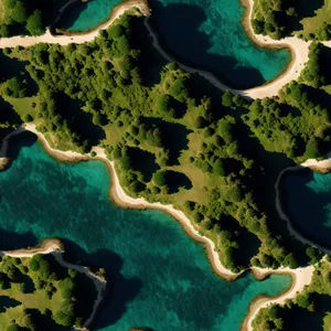 Tropical Coral Reef Teeming with Colorful Marine Life