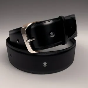 Black Leather Buckle Restraint Device