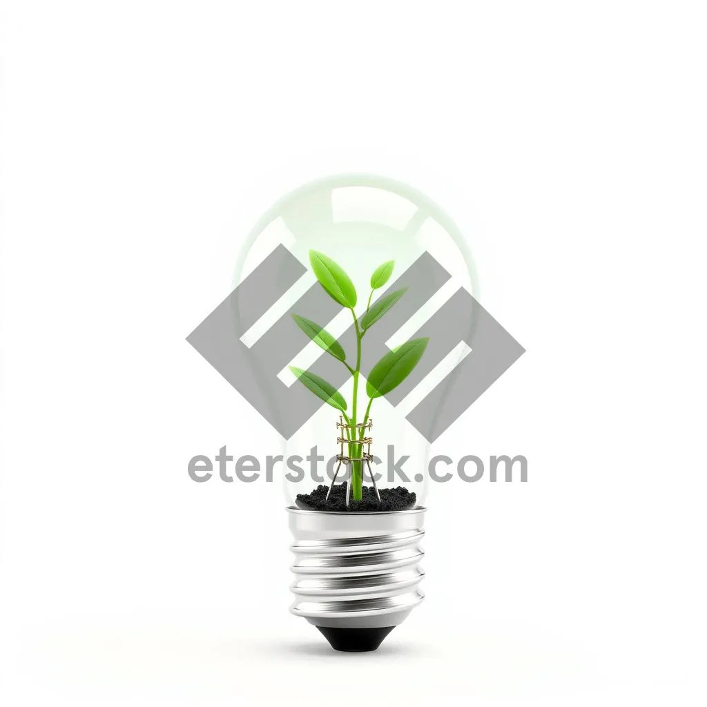 Picture of Light Bulb Symbolizing Environment-Friendly Growth Energy Concept