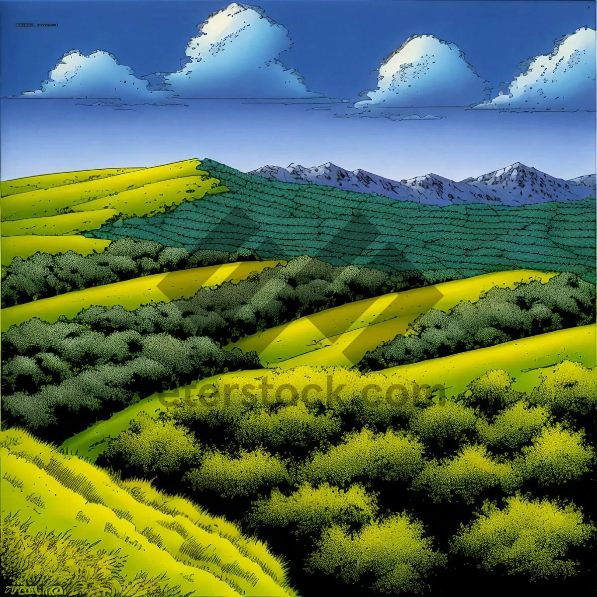 Picture of Golden Rapeseed Fields Under Blue Sky