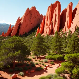 Spectacular Desert Landscape with Colorful Tulips