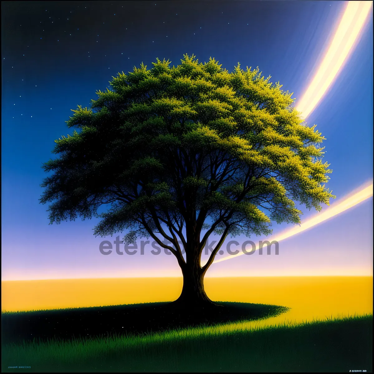 Picture of Golden Horizon - Majestic Sun Shining Through Tree Canopy