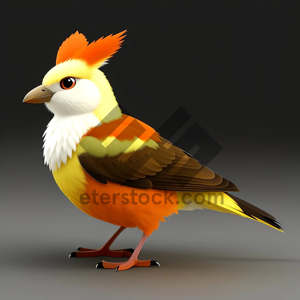 Picture of Yellow Feathered Bird in Studio Environment