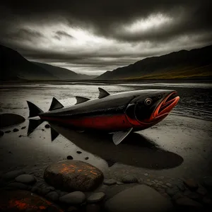 Seaside Serenity: Kayak Gliding on Tranquil Waters