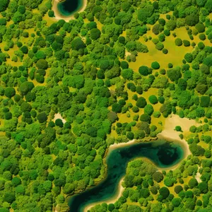 Green Maze: Duckweed Textured Passageway Design