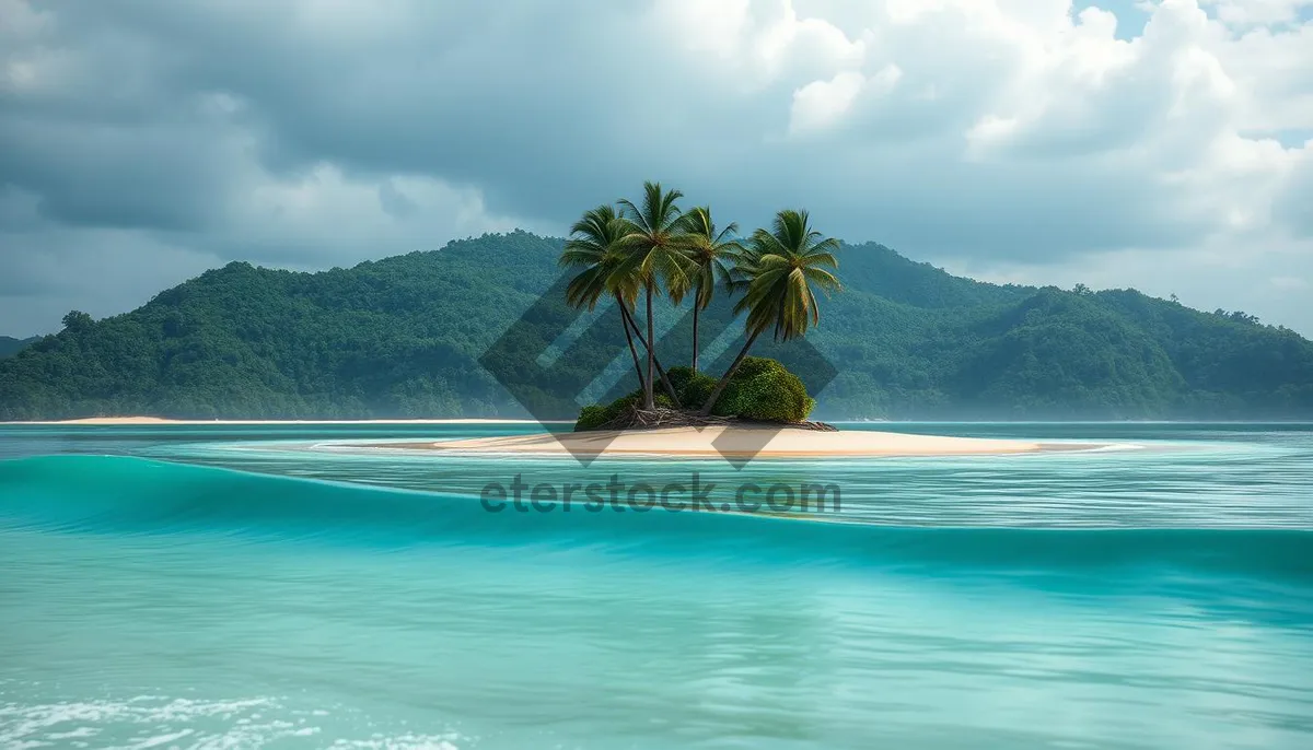 Picture of Tropical Paradise Beach Sunset with Palm Trees