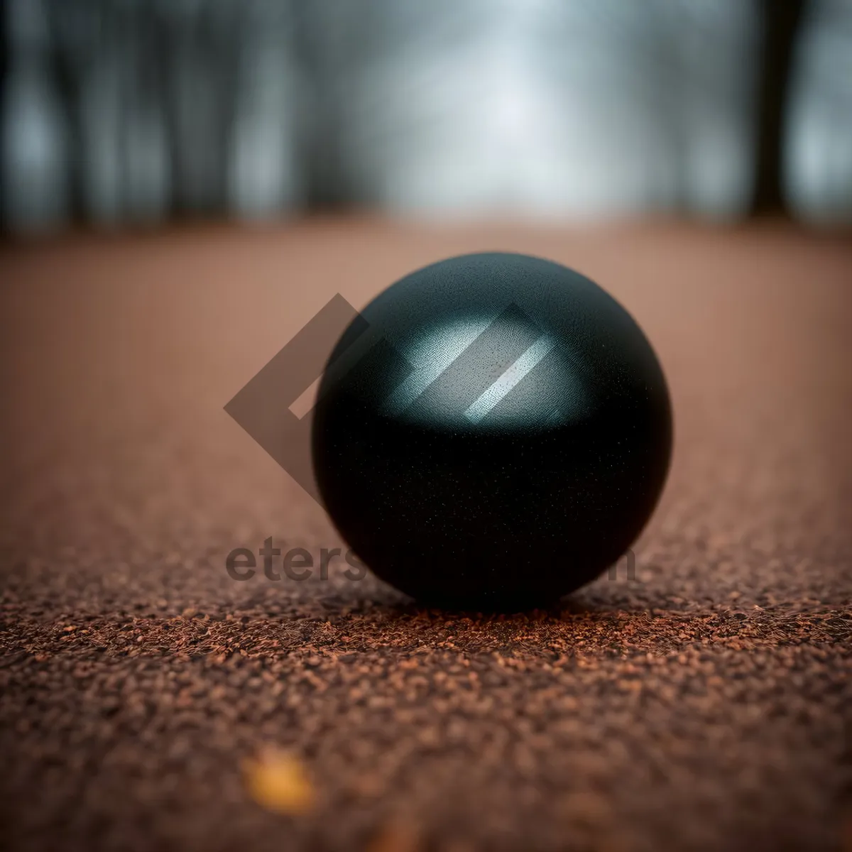 Picture of Black Electronic Trackball Mouse - Round Sphere Egg Device