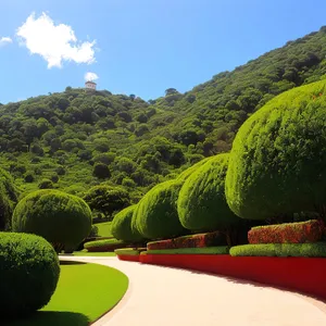 Refreshing Summer Watermelon and Avocado Landscape