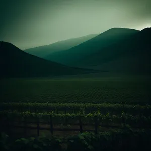 Serene Sunset Over Rural Meadow and Mountains