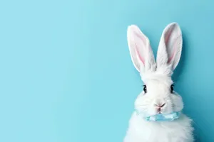 adorable fluffy bunny with soft furry ears