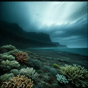 Colorful Underwater Coral Reef and Fish