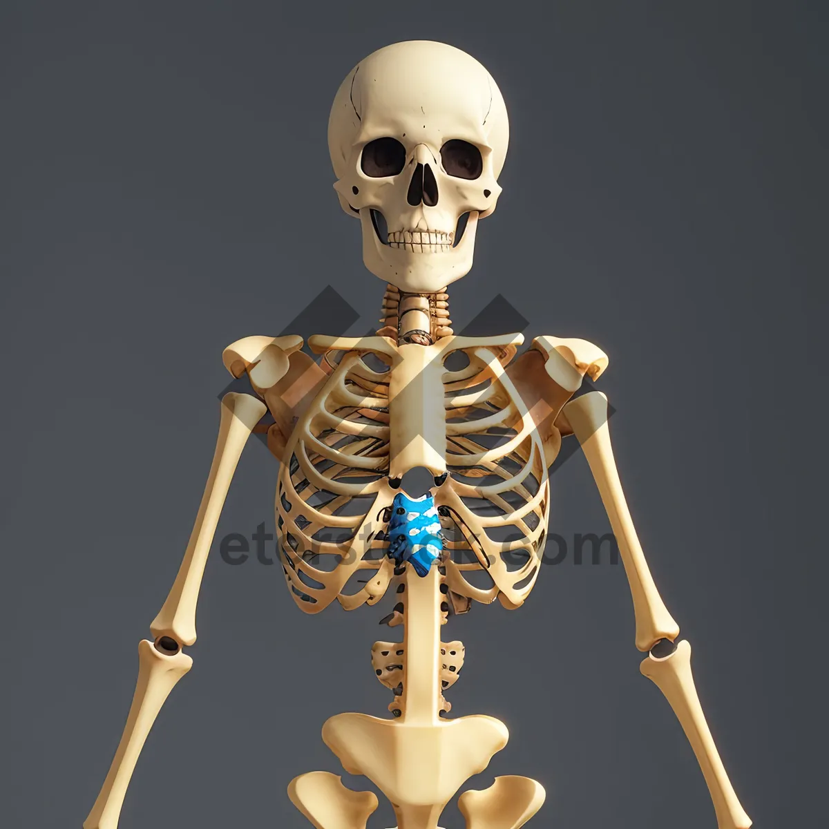 Picture of Horror Skeleton Anatomy - 3D Medical X-Ray