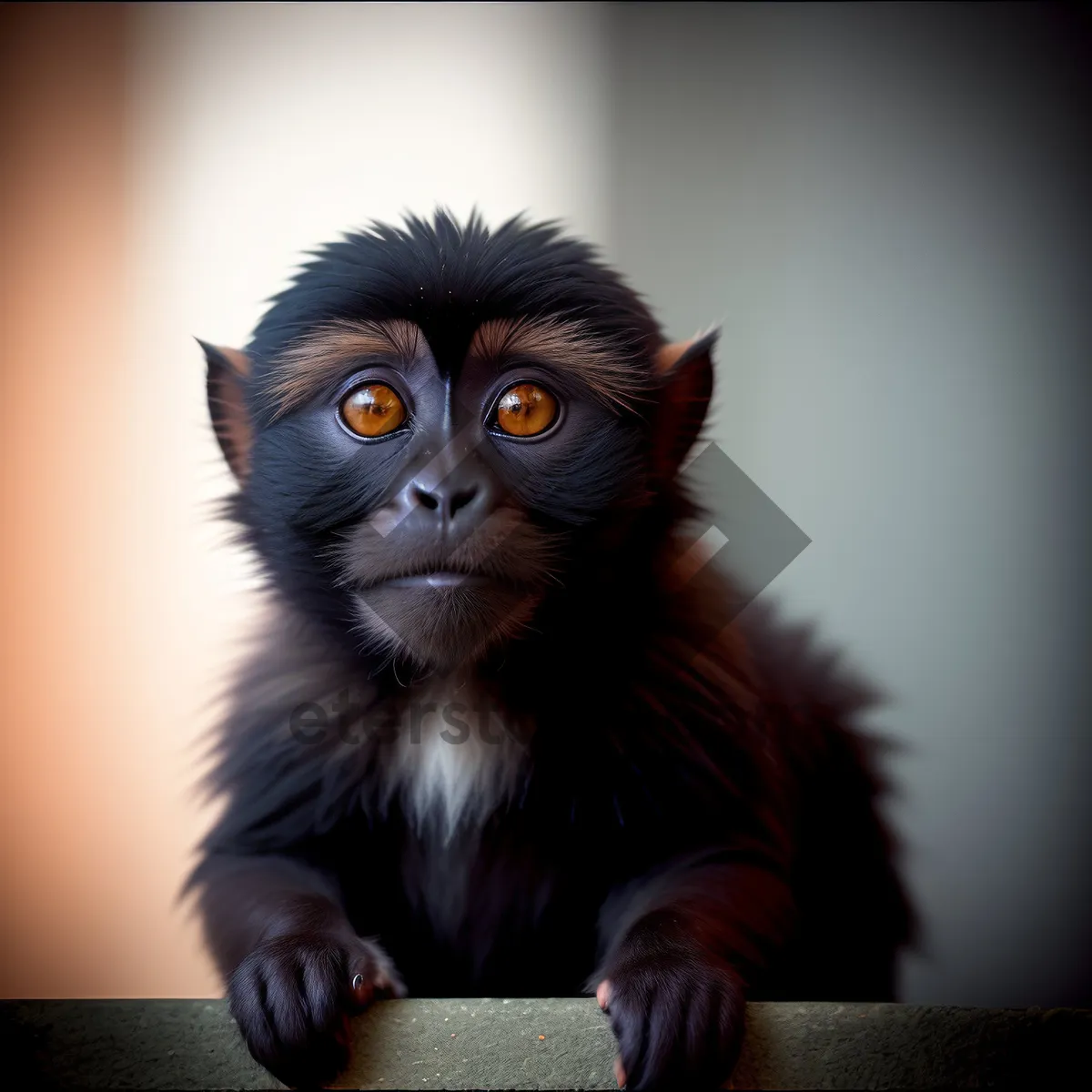 Picture of Furry Wildlife Primate with Cute Cat-Like Eyes