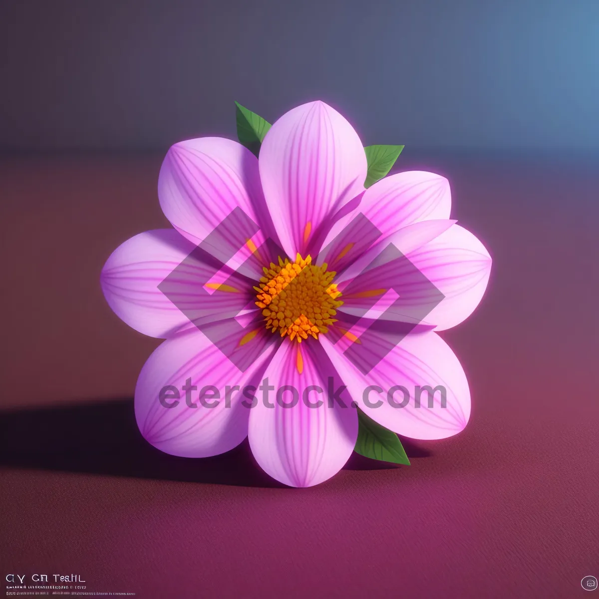 Picture of Blossoming Pink Daisy in Vibrant Garden