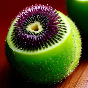 Juicy Kiwi Slice: Fresh and Healthy Tropical Fruit