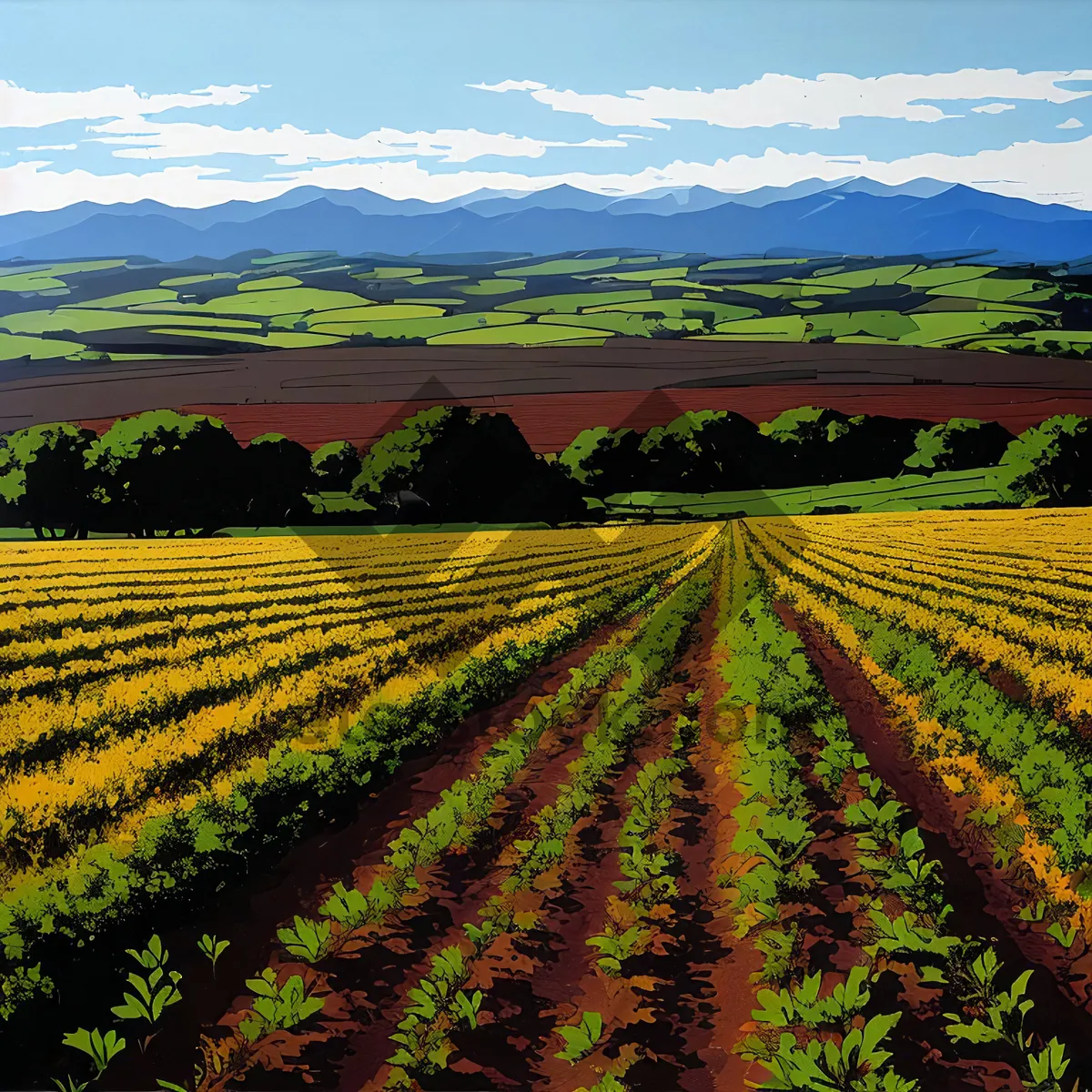 Picture of Vibrant Vineyard Sunset Over Rolling Farmland