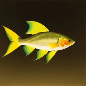 Glistening Orange Goldfish in Underwater Aquarium