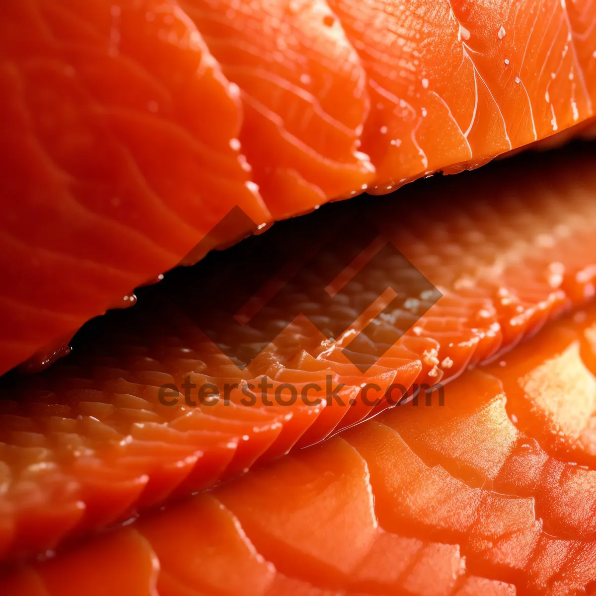 Picture of Fresh Citrus Salmon Dinner Slice with Mandarin