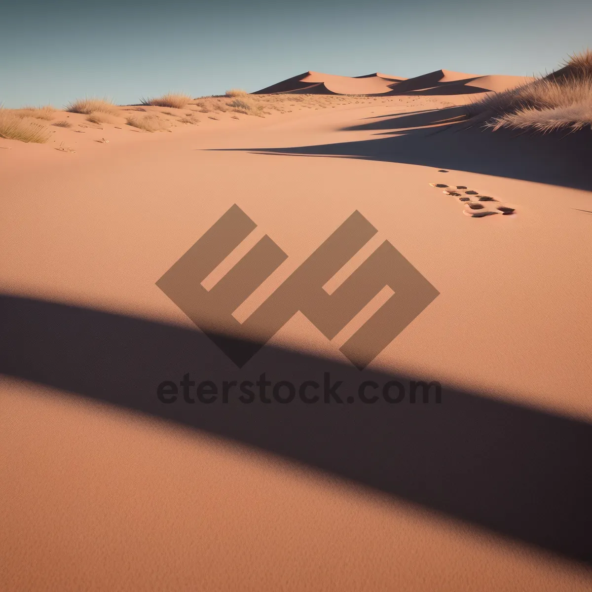 Picture of Desert Dune Landscape: Majestic Sandy Tract under Sunny Moroccan Sky