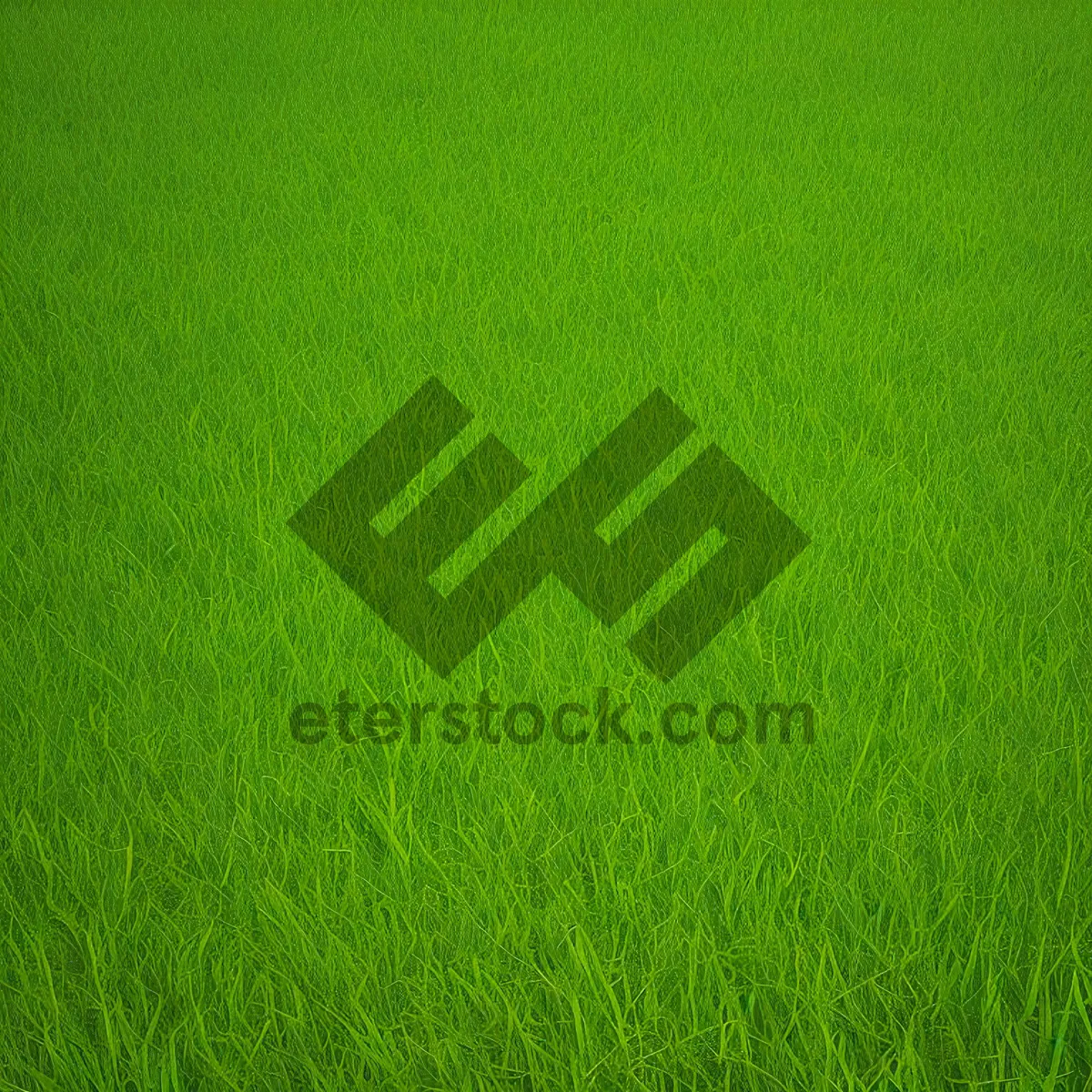 Picture of Fresh Green Meadow Texture - Lush Summer Field