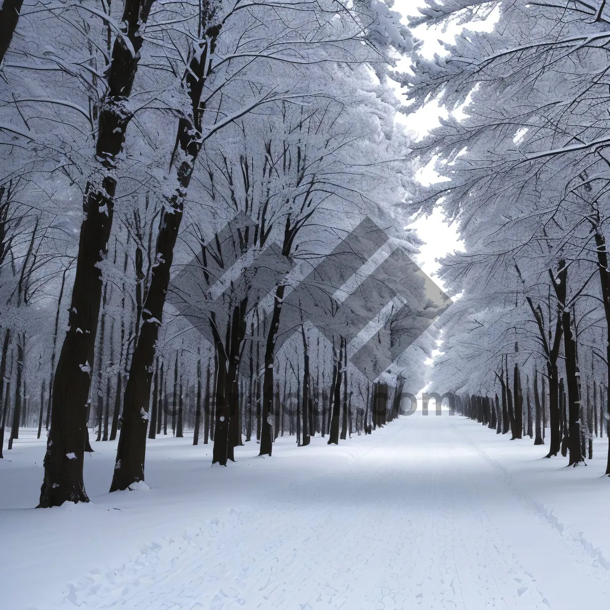 Picture of Winter Wonderland: Majestic Frozen Forest Landscape