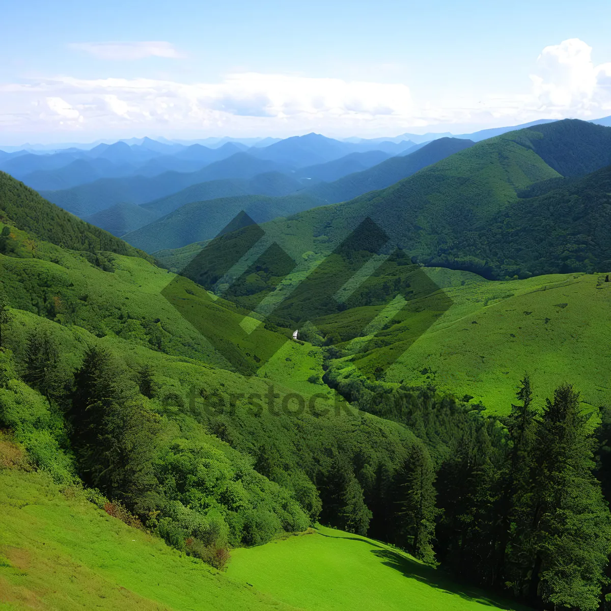 Picture of Serene Alpine Valley amidst Majestic Mountain Range