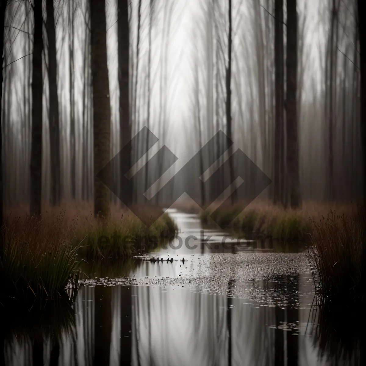 Picture of Serenity in the Woodland Fountain