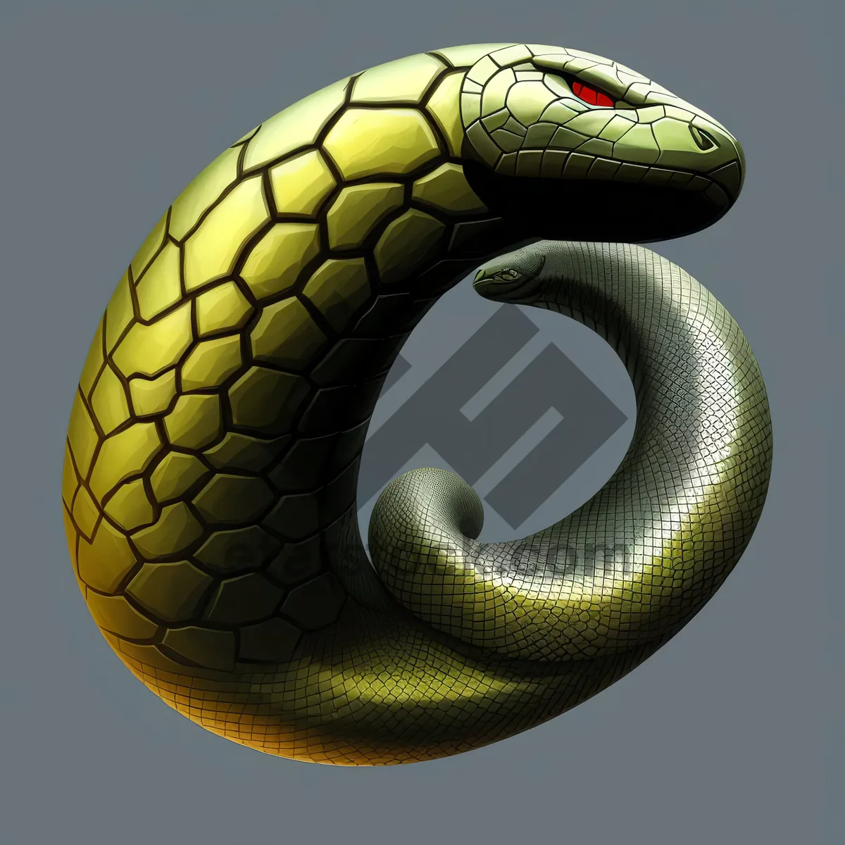 Picture of Deadly Green Mamba Snake in the Wild