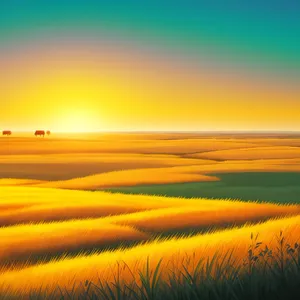 Serene Sunset Over Rural Meadow and Wheat Field"
(Note: I have taken into consideration the given tags and created a descriptive name for the image)