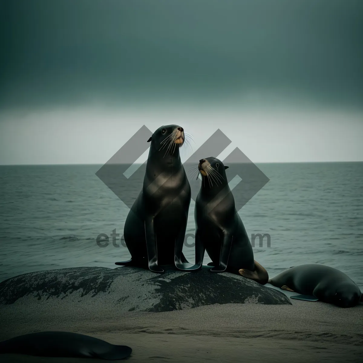 Picture of Playful Sea Lion Enjoying Ocean Waves