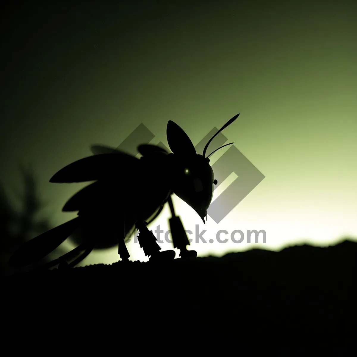 Picture of Silhouette of Flying Insect Against Sky