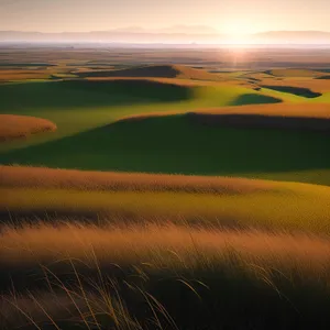 Golden Horizon: Dusk over the Sandy Beach