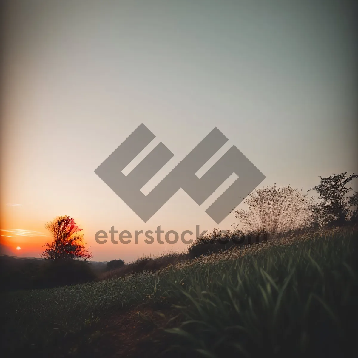 Picture of Serene Sunset Over Rural Meadow"
OR
"Sunrise Illuminating Countryside Landscape