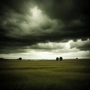 Idyllic Countryside Landscape Under a Sunny Sky