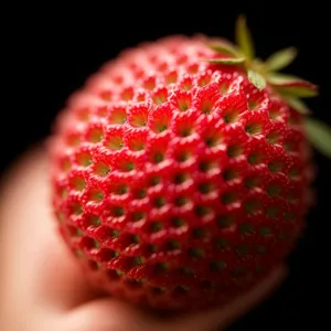 Vibrant Fresh Strawberry - A Juicy, Healthy Berry Delight