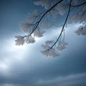 Wintry Sky with Glittering Ice Crystals