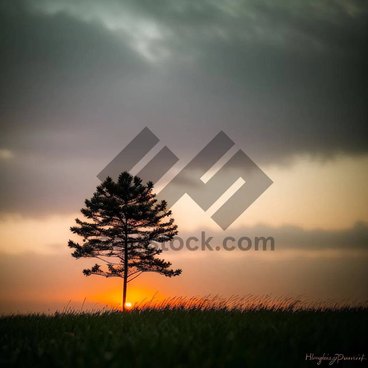 Picture of Idyllic countryside landscape with clear blue sky