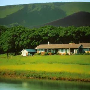 Rustic Farmhouse amidst Serene Rice Paddies