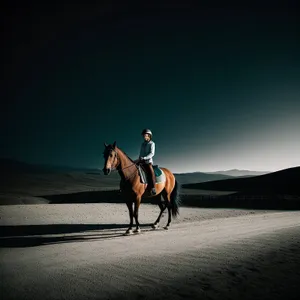 Majestic Stallion Galloping in Open Field