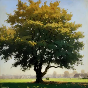 Golden Autumn Canopy Amidst Rolling Countryside