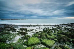 Sunny Beachscape with Waves and Rock Barrier