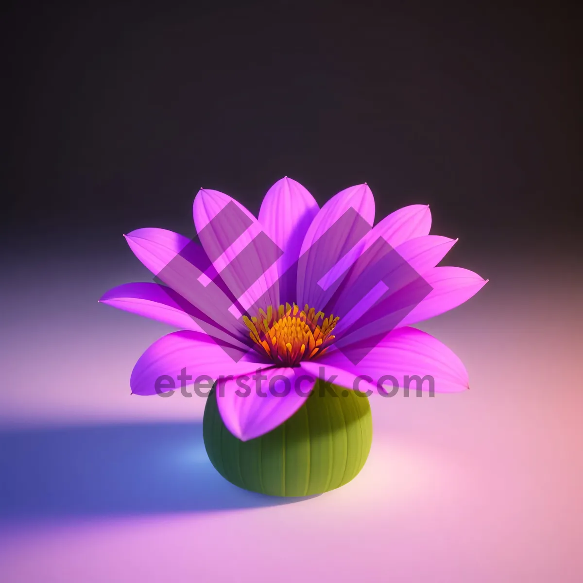 Picture of Vibrant Daisy Blossom in Floral Garden