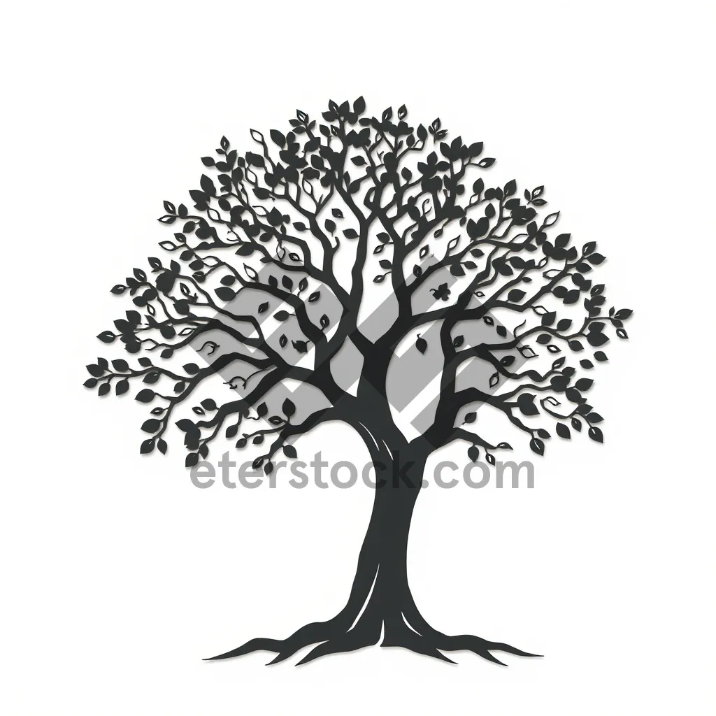 Picture of Black Summer Oak Tree Silhouette Graphic Design