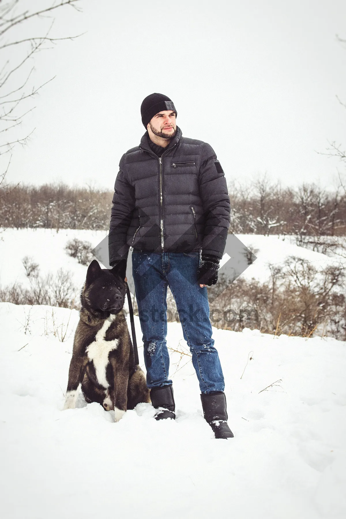 Picture of Happy man skiing with his giant schnauzer in snowy landscape