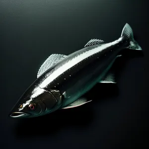 Tuna fish swimming in black bat.