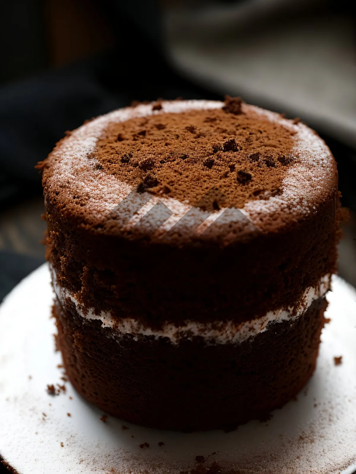 Picture of Delicious Chocolate Cake Slice