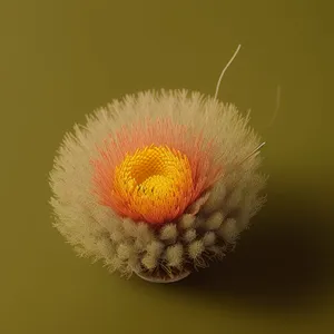 Vibrant Yellow Teasel Bloom in Summer Garden