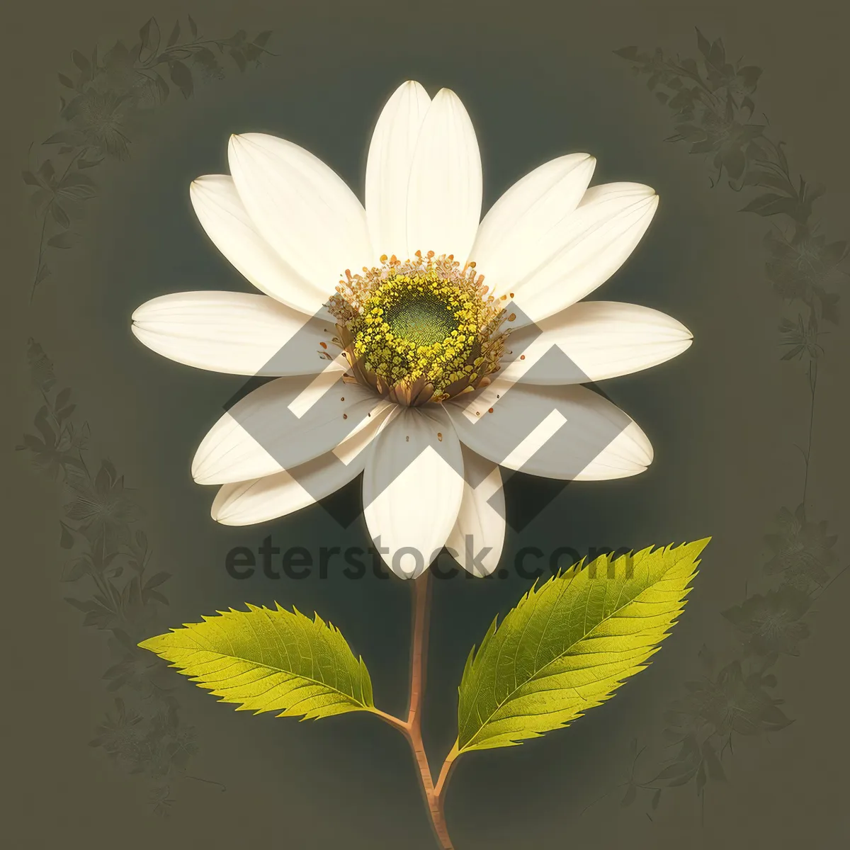 Picture of Blooming Daisy - A Fresh Summer Floral Delight