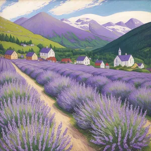 Vibrant Lavender Artichoke Field in Bloom