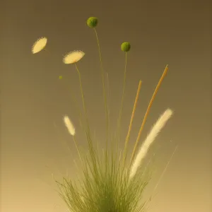 Bright Flax: Vibrant Herb Plant with Wheat and Dandelion